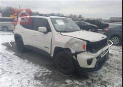 جيب رينيجيد